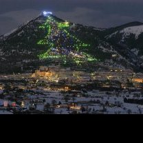 L'Albero di Natale più grande del mondo